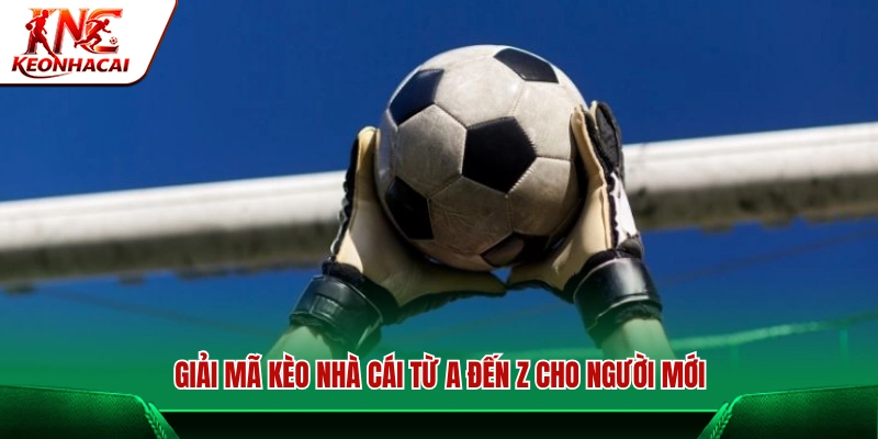 Giải mã kèo nhà cái chi tiết cho người mới