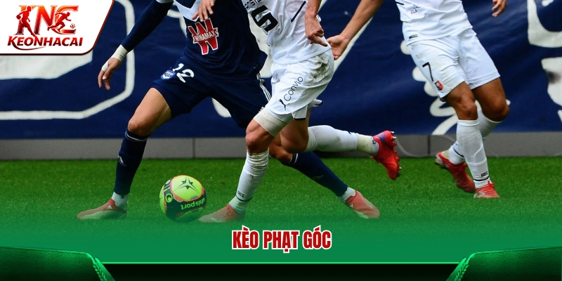 Tỷ lệ kèo phạt góc trận đấu